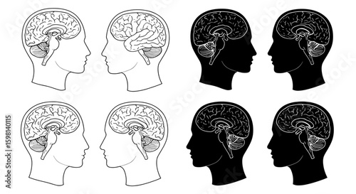 Human brain profiles in silhouette and outline styles