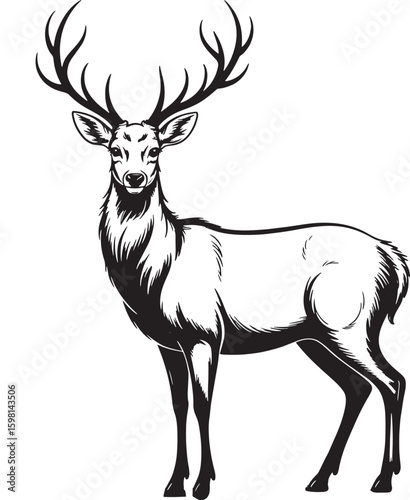 Stag Deer Sketch Illustration on Transparent Background - Wildlife Animal Art