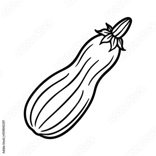 Hand drawn line art a long green zucchini on vegetable food
