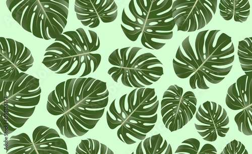 Tropical leaves monstera seamless pattern. Exotic vector background. Vector illustration.