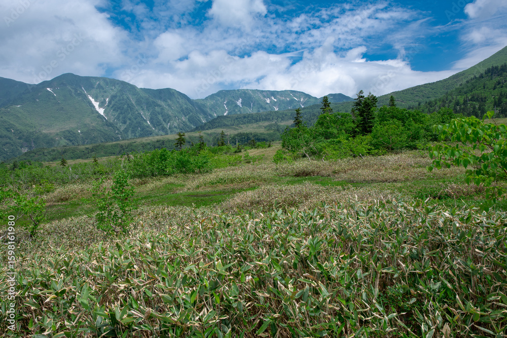 Fototapeta premium 弥陀ヶ原から望む大日岳、奥大日岳