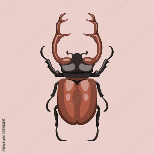 vector stag beetle illustration design