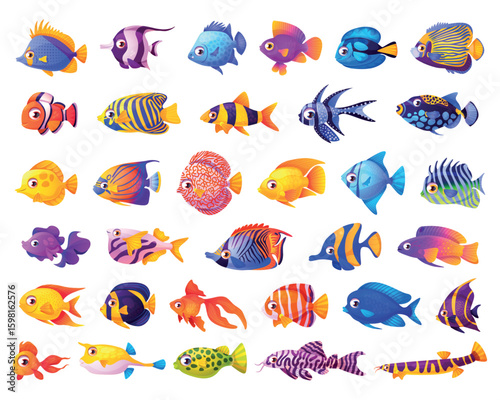 Tropical aquarium fish. Cartoon cute sea exotic underwater animal collection, goldfish marine clown red yellow fish character ocean under water dive life swanky vector illustration