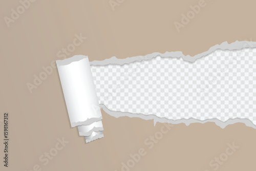 torn paper hole template in vector