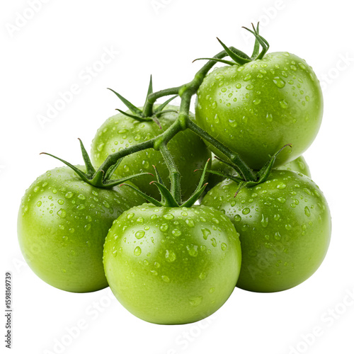Isolated Photo Realistic Fresh Green Tomatoes With Dew Drops