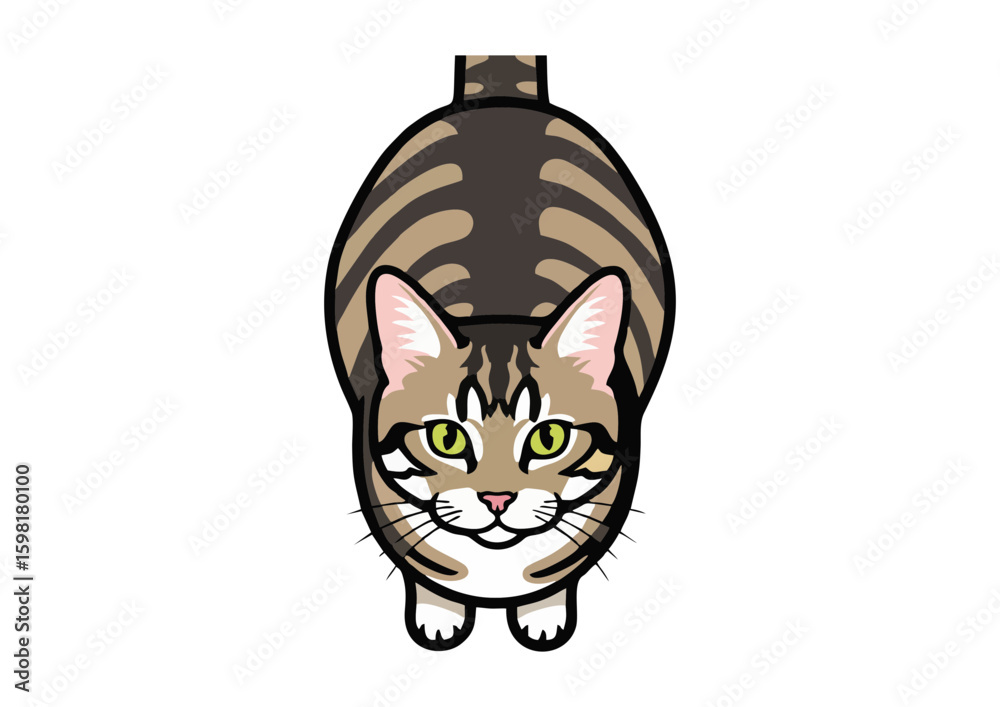 Fototapeta premium Tabby cat illustrationV
