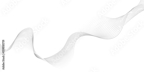 abstract Grey wave line background on white background. vector 10