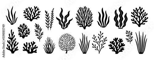 Algae black and white icon set clean line art, doodle style. Marine plants, seaweed. Ideal for logo, tattoo, app, coloring book, web design, infographics, banner, poster, and more. Vector illustration