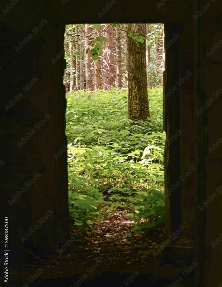 Obraz premium Looking outside from the door frame