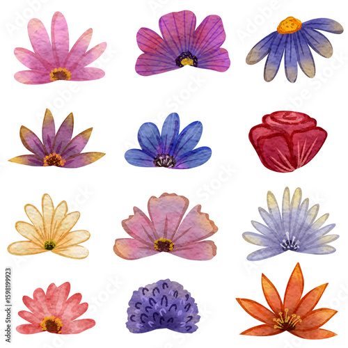 Принти на полотні Beautiful and varied watercolor flower petal illustrations can be used for various design purposes