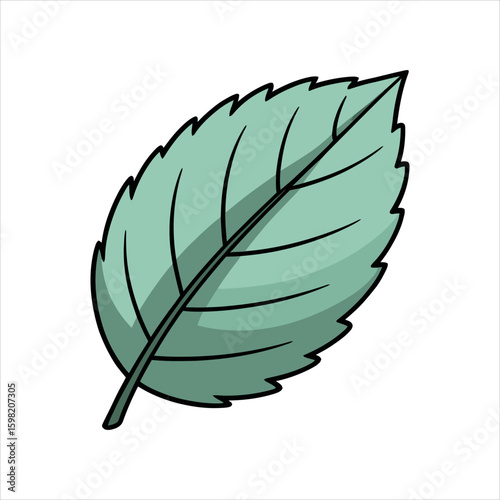 Simple cartoon style mint leaf with jagged edges and veins herb green