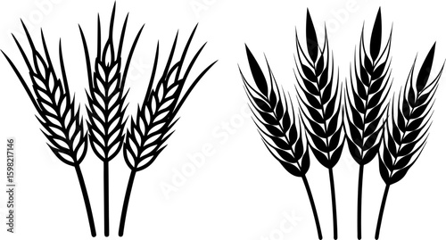Black wheat stalk vector, wheat stalk art, wheat stalk vector art design, Vector of wheat stalk art, wheat stalk isolated