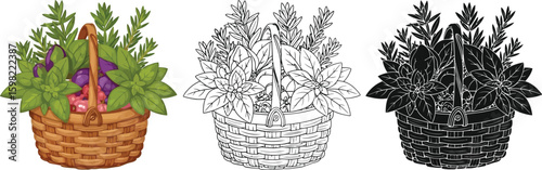Basket of herbs vector illustration design for culinary and gardening needs