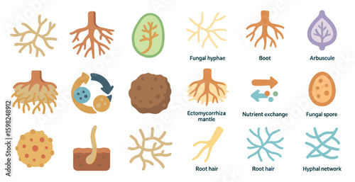 Botanical and mycology icons set – flat, outline, plant and fungi symbols