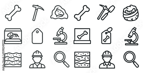 Paleontology line icons set – outline, archaeology, fossil discovery symbols