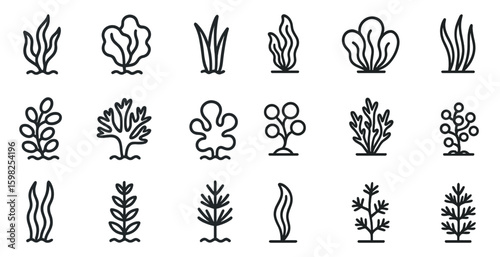 Nature and botanical outline icons set – plant, floral, garden symbols