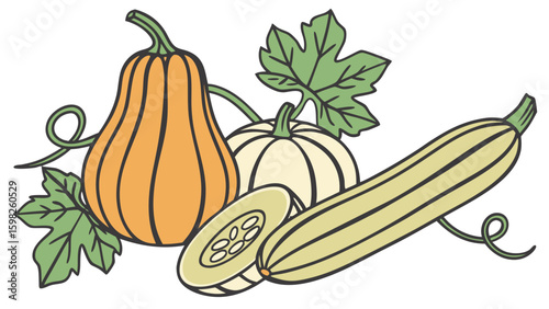 vector-of-gourd-family-vegetables-like-squash-and (1).svg
