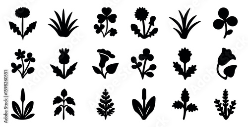 Nature and botany solid icons set – silhouette, floral, botanical symbols
