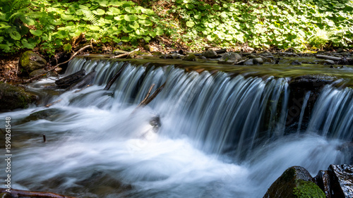 small waterfall in the forest
