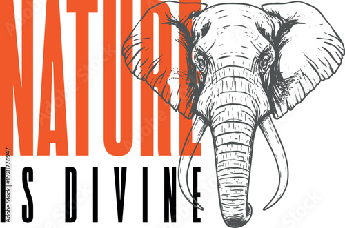 Elephant Vector Design