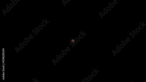 PDF file download icon animation on solid background .file download icon concept