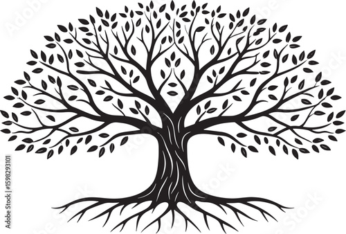 Black silhouette of a mature tree with roots and leaves