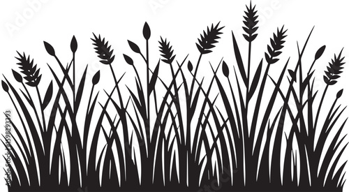 Black silhouettes of marsh plants and grasses cattails