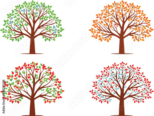 Four trees seasonal foliage changes seasons spring