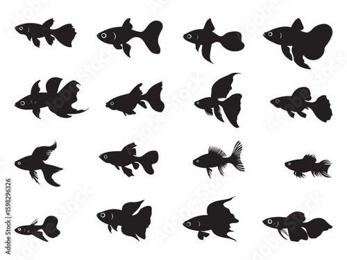 Black and White Silhouette of Various Betta Fish