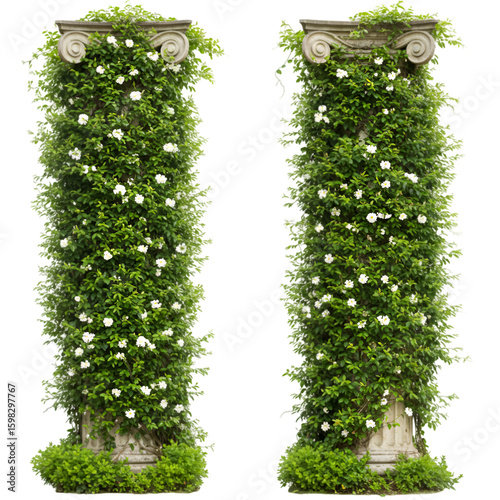 Two Stone Pillars With Vines and White Flowers Isolated