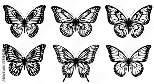 set of Black silhouette of a butterfly with detailed wings, symmetrical and artistic pattern, tribal or vector style, elegant curves and lines, isolated on white, high resolution
