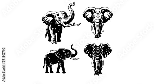 set of Black silhouette of an elephant walking or standing with trunk raised, large ears, tusks visible, tribal or clean vector art style, bold and balanced design, high resolution
