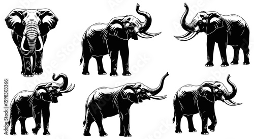 set of Black silhouette of an elephant walking or standing with trunk raised, large ears, tusks visible, tribal or clean vector art style, bold and balanced design, high resolution
