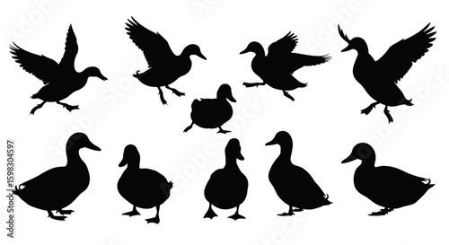 set of Duck Silhouette isolated on white background Minimalist duck vector illustration

