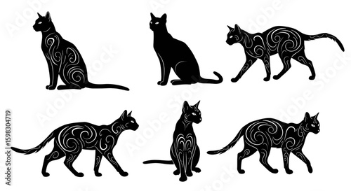 set of Black silhouette of a cat sitting or walking gracefully, long tail curved elegantly, pointy ears, sleek body, clean tribal or vector style, high resolution, minimal background
