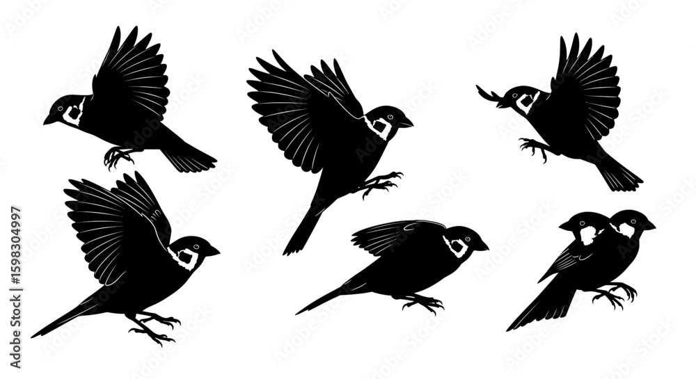 Obraz premium set of Black silhouette of a sparrow in mid-flight or perched, with wings spread or tucked, clean vector style, sharp beak, and tail feathers, minimal and high-resolution design. 