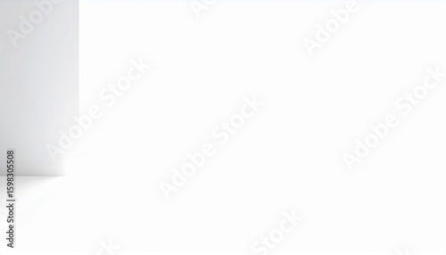 White Gray Studio Background with Floor and Wall
