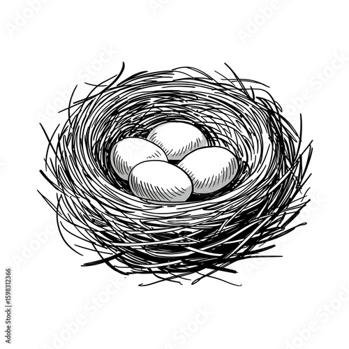 Illustration of a bird nest filled with eggs springtime nature illustration of new life and beginnings monochrome artwork