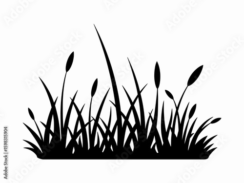Silhouette of Cattails and Grasses against a White Background Creating a Striking Visual Impact for Design Elements