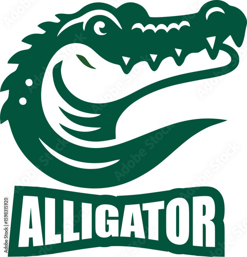 Photography Vector of crocodile Logo design on white background