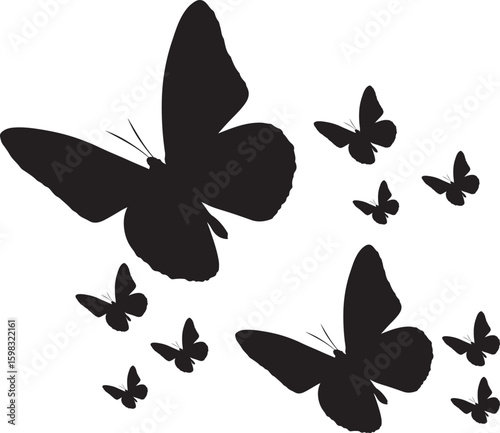set of butterflies