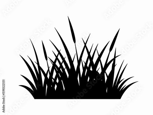 Black silhouette of wetland reeds and grasses on a white background with natural elements