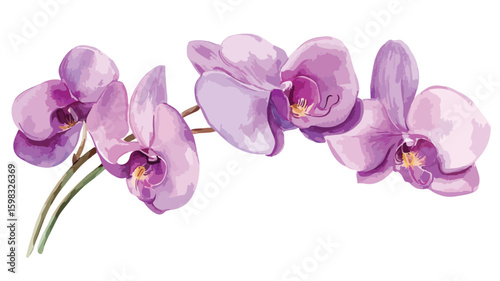 Vibrant Watercolor Orchid Flower on White Background for Design Projects