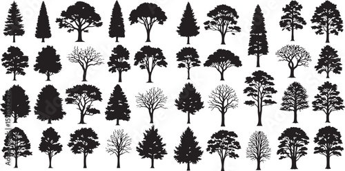 Tree Silhouette Vector Set Variety of Forest Pine tree Silhouettes, wild nature trees templates