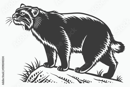 pallas,s cat sihouette black vector(1)