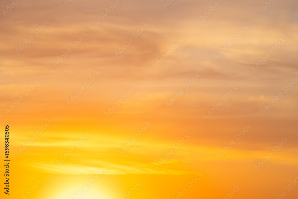 Fototapeta premium summer morning, dawn over a field with grass, sky without clouds