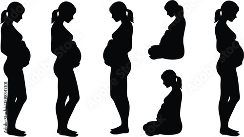 Vector art of silhouettes of pregnant women in various poses isolated on white background show the stages of pregnancy