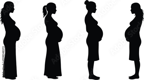 Vector art of silhouettes of pregnant women in various stages of pregnancy isolated on white background