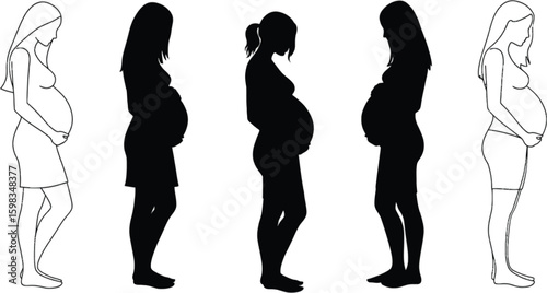 Vector art of silhouettes and outlines of pregnant women in various stages of pregnancy isolated on white background