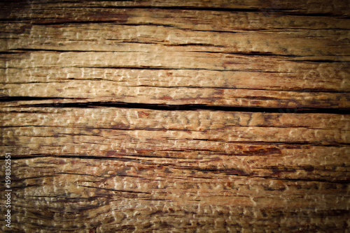 Fototapeta Naklejka Na Ścianę i Meble -  a detailed texture of old, weathered wood. abstract background with cracks and weathering with copy space